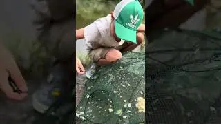 ЛОВУШКА НА РЫБУ FISH TRAP