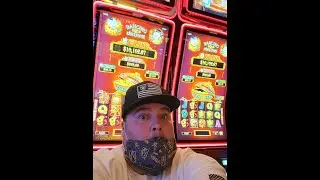 🎰Sams Town Las Vegas slot play!!!🎰 Buffalo Link multiple bonuses!!!