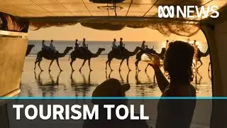 Ongoing travel bans taking toll on Top End tourism | ABC News