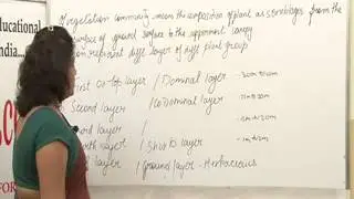 Vertical Stratification (B.Sc.) Lecture by Shweta  Modi.