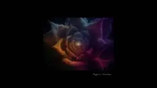 Shiguruї - Charisma #olekskosholap #electro #acid #techno #shiguruї #electronic  #beutifulmusic