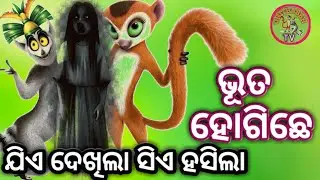 ଅଣ୍ଡିରା ଭୂତ ।। anidra bhuta । odia funny video ।। sambalpuri funny comedy ।। chitrasen tv