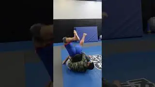 Funky Turtle Counter For BJJ/Wrestling