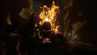 #lhori