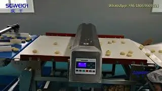 Sensitivity Food Grade Metal Detector Biscuit Cookie Production Metal Detector