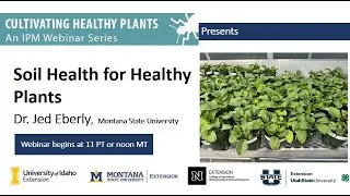 Cultivating Healthy Plants - Soil Health for Healthy Plants