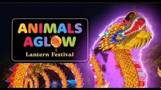 Animals Aglow at The Saint Louis Zoo!