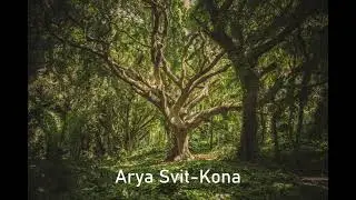 Arya Svit-Kona (reissue)