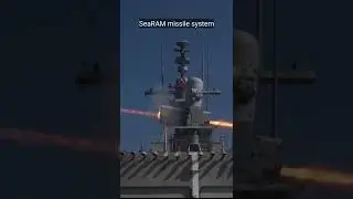 SeaRAM missile system