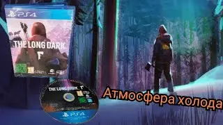 Обзор: The Long Dark PS4
