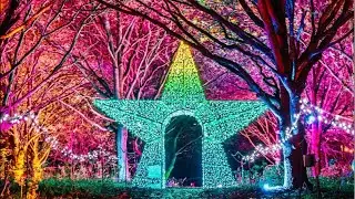 Winter Lights Walk @ Delapre Abbey