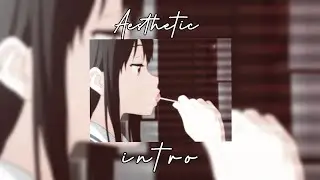 𝙰𝚎𝚜𝚝𝚑𝚎𝚝𝚒𝚌 𝙰𝚗𝚒𝚖𝚎 𝙸𝚗𝚝𝚛𝚘 