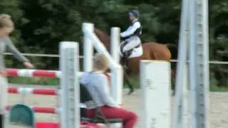 Traditional Irishbred Mare by Jackaroo -  ad ref: 239091