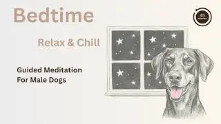 Guided Bedtime Meditation for Dogs | Deep Sleep & Nighttime Calm