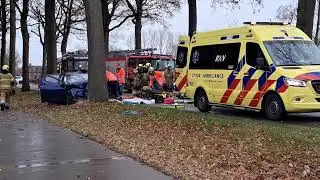 Automobilist botst tegen boom op Lieshoutseweg in Sint-Oedenrode, bestuurder bekneld