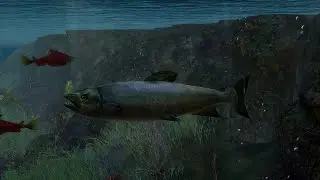 There's something leaving the water...