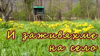 И заживяхме на село