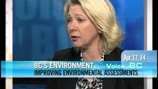Mary Polak - The Need To Improve The Environmental Assessment Process