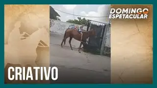 Menino vai para a escola a cavalo e viraliza nas redes sociais