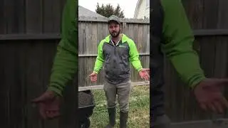 How to treat Brown Patch
