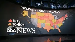 US daily death average surges l WNT