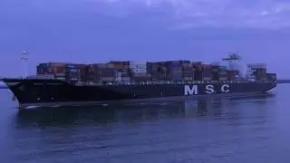MSC TOMOKO - Container Ship
