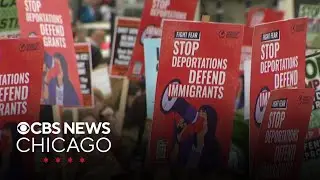 Protests held in Chicago area amid President Trump's threats of immigration crackdown