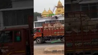 Six Wheeler Eicher Truck Rice Transport