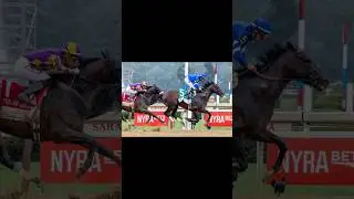 Sovereignty won the Draftkings (G1) Travers Stakes! #horse#horseracing#racehorse#sovereignty