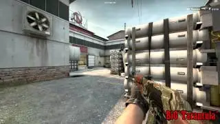 CS:GO - Subscribers make Plays #2 ft. `BiG`Syler,`BiG`Tarantula`,WorldEdit