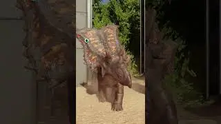 Chasmosaurus (Male) In Jurassic World Evolution 3