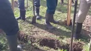 Southern Wiltshire Walks - Kissing Gates