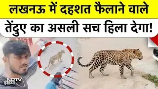 Lucknow Leopard Big Update: लखनऊ में तेंदुए की दहशत पर सबसे बड़ी खबर हिला देगी | UP News | Top News