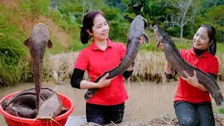Full Video Harvesting Large School of Wild Catfish To Sell At The Market- Love Harvest