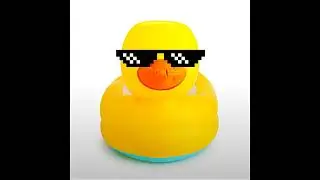 The Duck #phonk (titkok viral music)