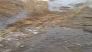 Flood 2009