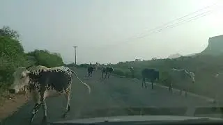 Way from Khushab (Punjab) Pakistan to wadi E soon sakasar
