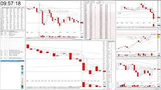 Day trading recap: TSLA, SYF - 24 January 2020