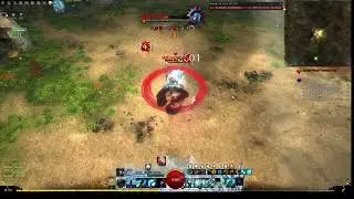GW2 Accessibility Challenge | (Power) DPS Vindicator