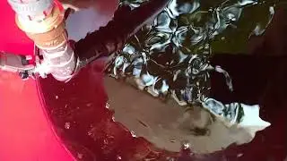 Free Run Red Wine