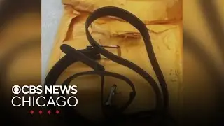Jury hears lawsuit against Chicago Public Schools after boy was beaten with belts