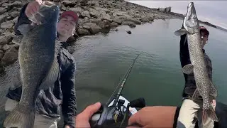 Catching GIANT Fish at Fort Peck Lake MONTANA