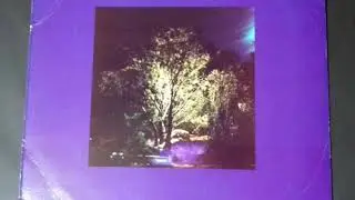 PABLO GUERRERO TODA LA VIDA ES AHORA AMBIENT FOLK