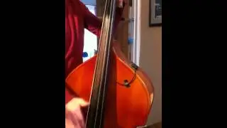 Rockabilly slap bass 