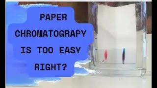 CSEC Chemistry & Cape Chemistry: Writing Assumptions, Limitations & Source of Errors Chromatography