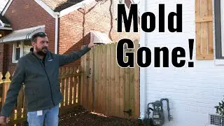 Mold and Junk Gone