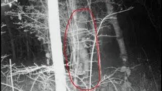 Sequoia Sasquatch Stomps into Camp & Grabs Man by the Feet