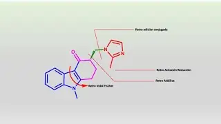 Ondansetron (antiem&eacute;tico) an&aacute;lisis retrosint&eacute;tico I