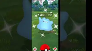 Shiny Ditto Appeared in wild - Special Event #shorts #shiny #ditto #oh? #catch #ultragoo #game