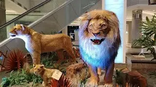 Exposi&ccedil;&atilde;o SmartZoo com animais animatr&ocirc;nicos em tamanho real no shopping Iguatemi Fortaleza 2025